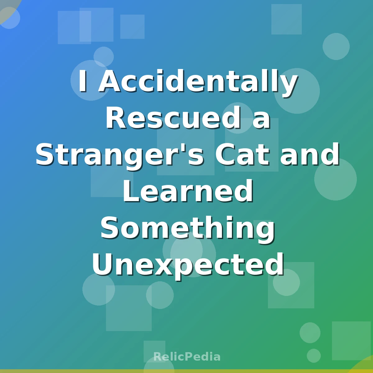 I Accidentally Rescued a Stranger's Cat and Learned Something Unexpected